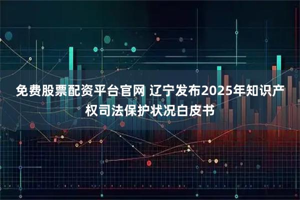 免费股票配资平台官网 辽宁发布2025年知识产权司法保护状况白皮书